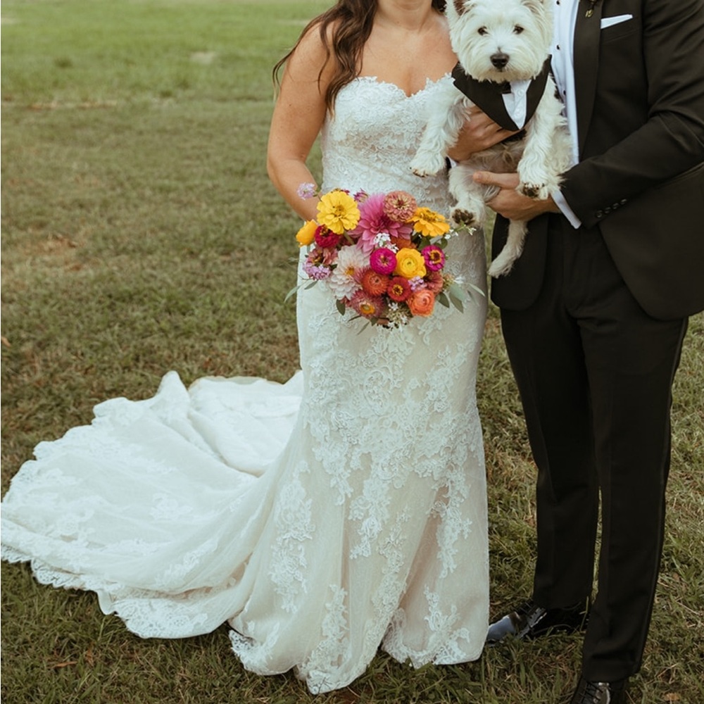 Kleinfeld Sweetheart Strapless Lace Wedding Dress - Pronovias Princia